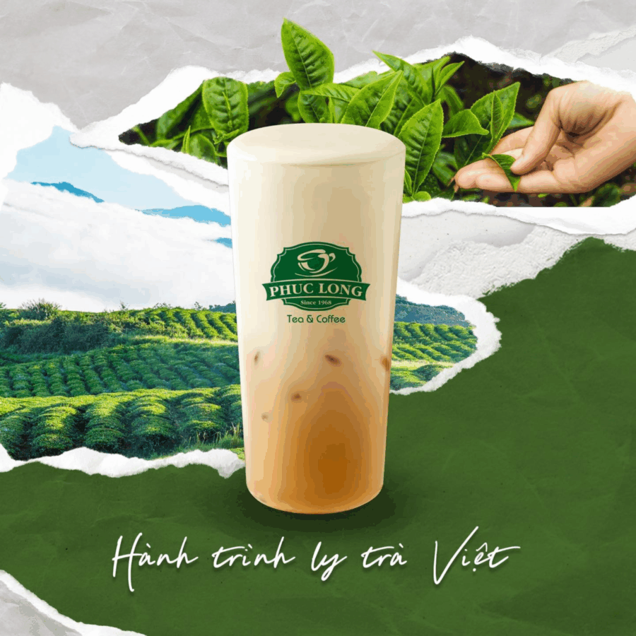 Thiet ke chua co ten 5